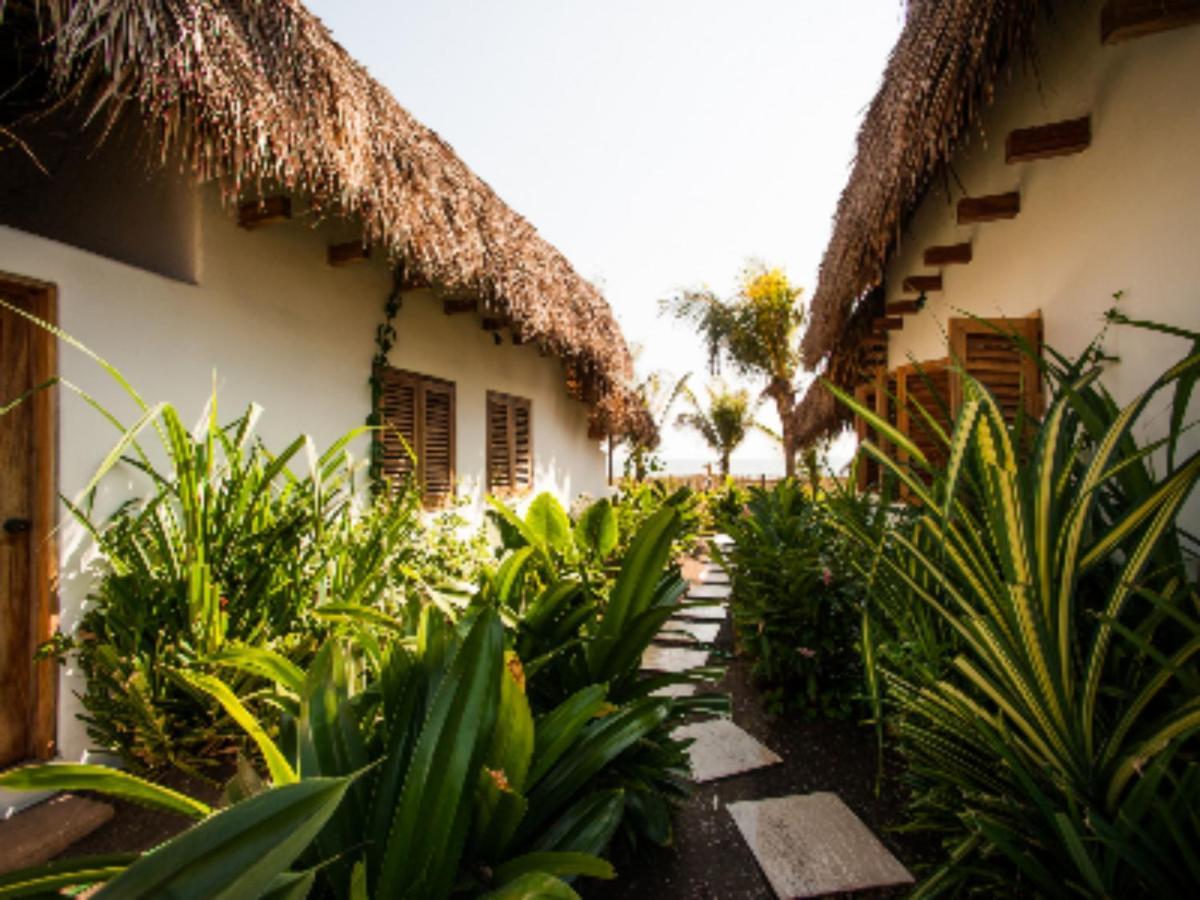 Paredon Surf House Hotel El Paredon Buena Vista Bagian luar foto
