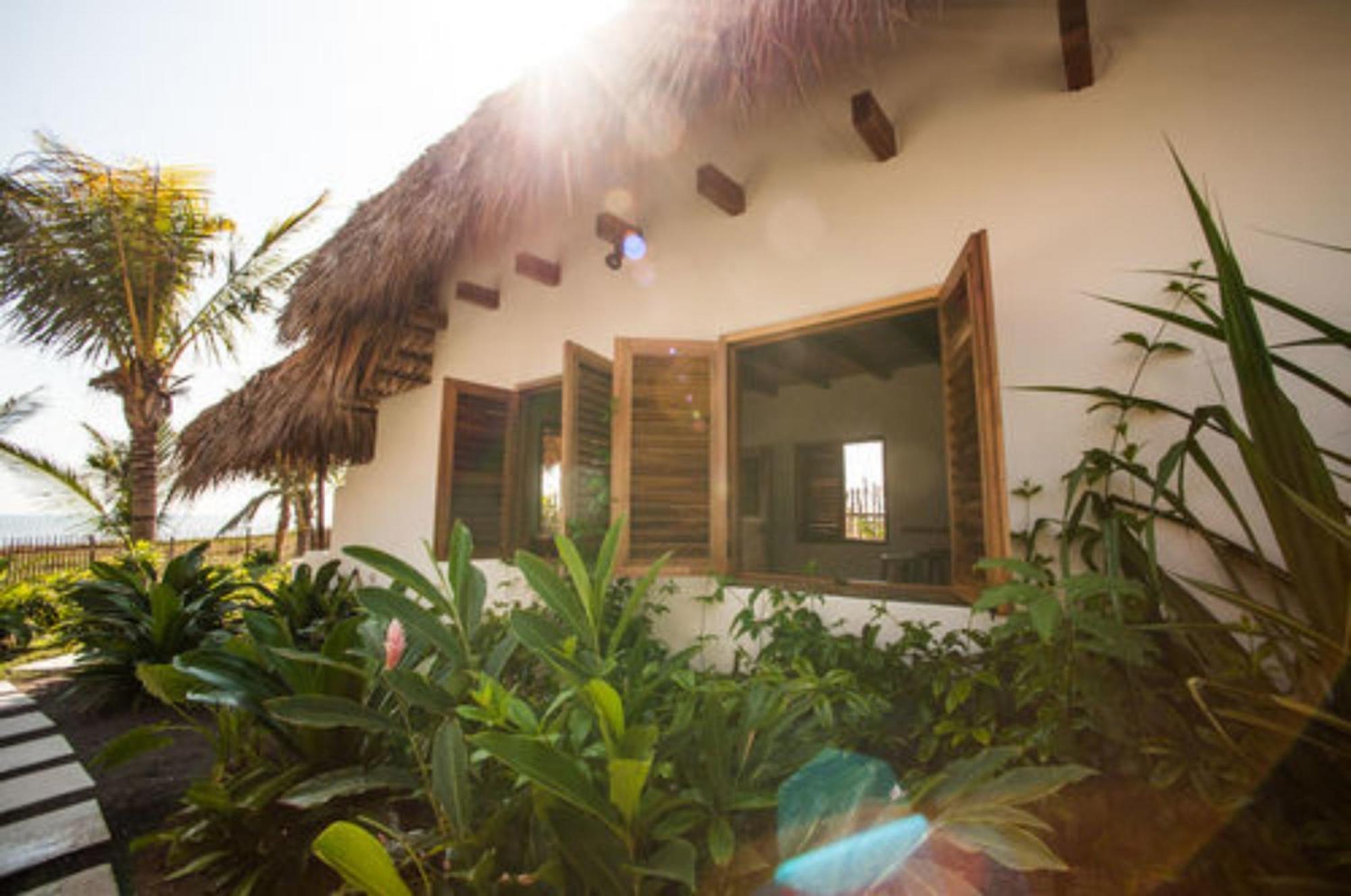 Paredon Surf House Hotel El Paredon Buena Vista Ruang foto