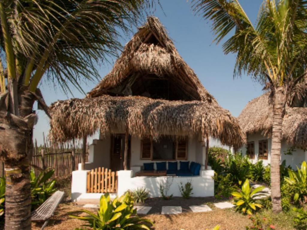 Paredon Surf House Hotel El Paredon Buena Vista Ruang foto